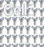 Cell - 21 May 2015