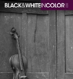Black and White In Color For Photographers - May 2015