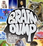 How It Works Brain Dump - شماره 21 - 2014
