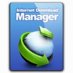 Internet Download Manager 6.31 Build 1