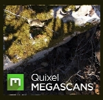 Quixel Megascans Studio v0.912 همراه 13 گیگ تکسچرQuixel Megascans Studio Library