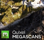 Bridge و Quixel MegaScan Suite همراه با متریالQuixel Megascans Materials