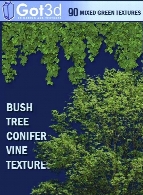 کالکشنی از 90 تکسچر درخت و تاک با آلفاGot3D Tree Vine 90 Textures with Alpha