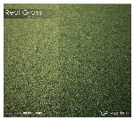 Vizpark Real GrassVizpark Real Grass