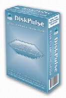 DiskPulse 11.0.34 x64