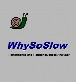 WhySoSlow 1.50