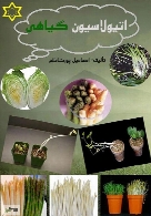اتیولاسیون گیاهی