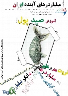ماهنامه میلیاردرهای آینده ایران - شماره دوم