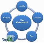 مدیریت و کنترل ریسک در پروژه های IT (مباحث مربوط به طراحی سایت)