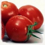 روشهای کشت گوجه فرنگی در گلخانه