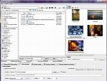 3delite Professional Tag Editor 1.0.6.8 x64