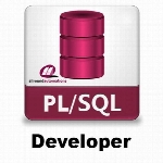 Allround Automations PLSQL Developer 12.0.8.1841 x86