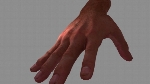 Realistic Hand
