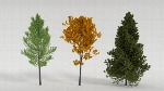 Realistic Trees Scene