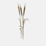 Wheat Field V1