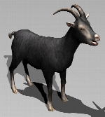 Goat (Black)