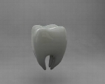 Tooth