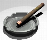 Ashray And Cigar