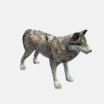 Gray Wolf V1