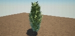 Low Poly Tree Small Linden