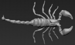 Scorpion Concept