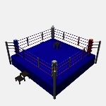 Regulation Boxing Ring SG V1