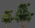 Trees Low Poly