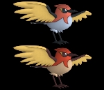 Fletchinder (Pokemon)