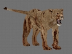 Zombi Lionesse