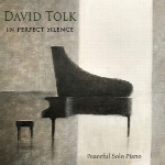 آلبوم موسیقی In Perfect Silence پیانو آرامش بخش از David TolkIn Perfect Silence  (2018)