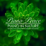 آلبوم موسیقی Piano in Nature پیانو های آرامش بخش با صدای طبیعتPiano in Nature  (2018)