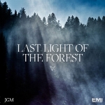 « آخرین نور جنگل » ملودی آرام و دراماتیک از James Grant MusicLast Light of the Forest  (2013)