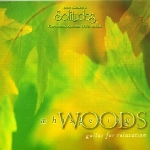 نجوای جنگل همراه با گیتار آرامش بخش دن گیبسونWhispering Woods  (1997)