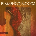 گیتار فلامنکوهای زیبا و شنیدنی از هنرمندان مختلفFlamenco Moods  (2013)