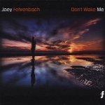آلبوم « بیدارم نکن » موسیقی الکترونیک زیبایی از جوی فرنباخ