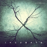 دانلود آلبوم « انکوبیت » آهنگ های حماسی پر قدرت و هیجان انگیز از گروه Brand X MusicIncubate  (2013)