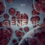 موسیقی حماسی و خیره کننده گروه نینجا ترکس در آلبوم انقلاب پیدایشRevolution Genesis  (2013)