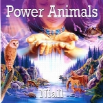 تجلی قدرت حیوانات در روح انسان با موسیقی نیالPower Animals  (2009)