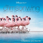 موسیقی متن مستند بال زرشکی : رمز و راز فلامینگوهاThe Crimson Wing: Mystery of the Flamingos  (2009)