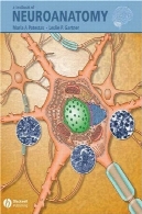 کتاب آناتومی اندام فیزیوتراپیA Textbook of Neuroanatomy
