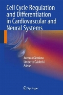 تنظیم چرخه سلولی و مشتق گیری در سیستم قلبی عروقی و عصبیCell Cycle Regulation and Differentiation in Cardiovascular and Neural Systems