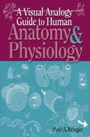 راهنمای قیاس بصری به آناتومی انسان از u0026 amp؛ فیزیولوژیA Visual Analogy Guide to Human Anatomy &amp; Physiology