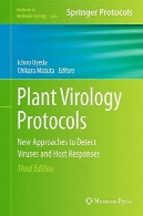 پروتکل ویروس شناسی گیاهی: روش های جدید برای شناسایی ویروس و میزبان پاسخPlant Virology Protocols: New Approaches to Detect Viruses and Host Responses