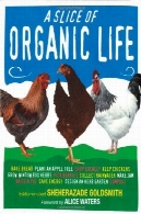 یک تکه از زندگی آلیA Slice of Organic Life