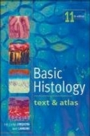 بافت شناسی پایه. متن و اطلسBasic Histology. Text and Atlas