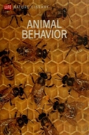 رفتار حیواناتAnimal Behavior