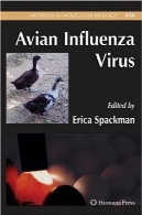 ویروس آنفلوآنزای پرندگانAvian Influenza Virus