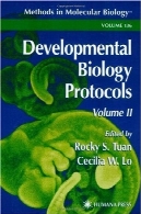 پروتکل زیست شناسی تکوینی: جلد دومDevelopmental Biology Protocols: Volume II