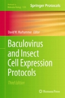 Baculovirus و حشرات پروتکل بیان همراهBaculovirus and Insect Cell Expression Protocols