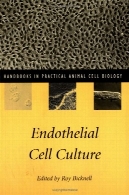 فرهنگ سلول های اندوتلیال ( کتابچه در عملی زیست شناسی جانوری همراه )Endothelial Cell Culture (Handbooks in Practical Animal Cell Biology)